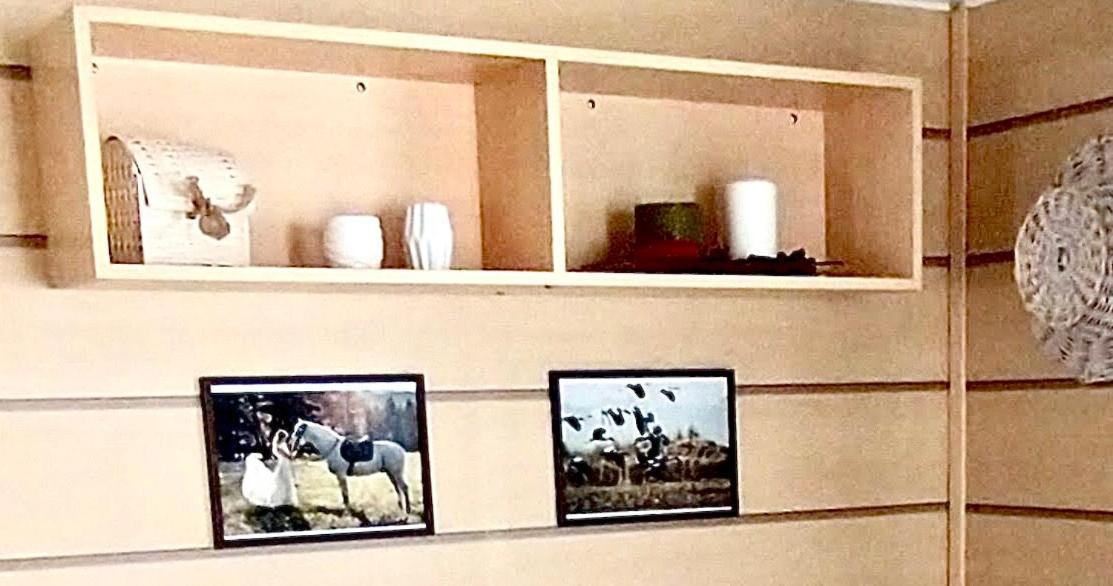 Mobil Home 5Pers Proche Europa Park Dans Camping 3Etoiles Boofzheim 外观 照片
